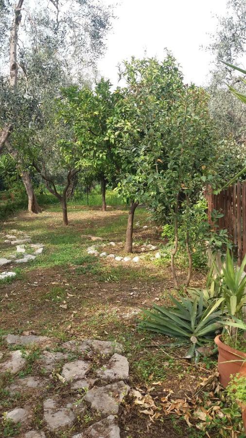 Villa Fralu Mattinata Exteriér fotografie